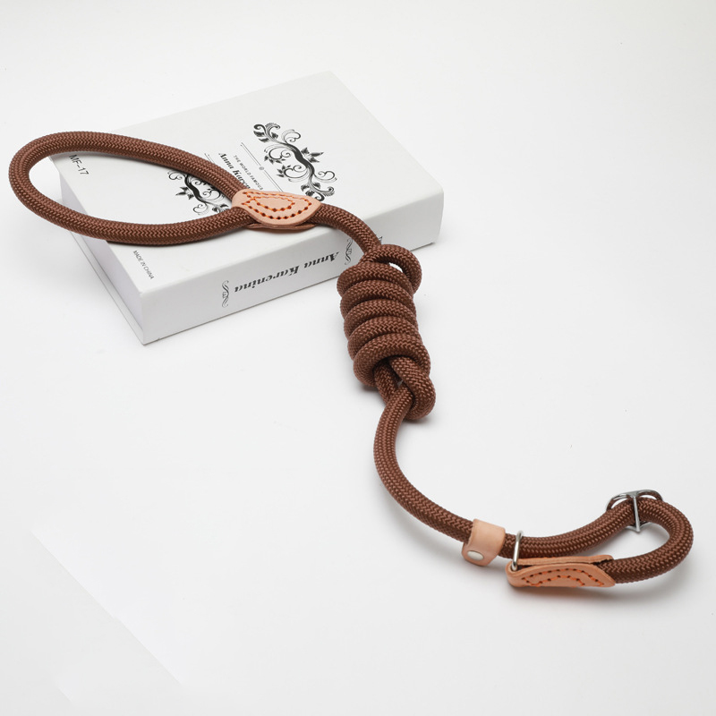 Slip Lead Leash