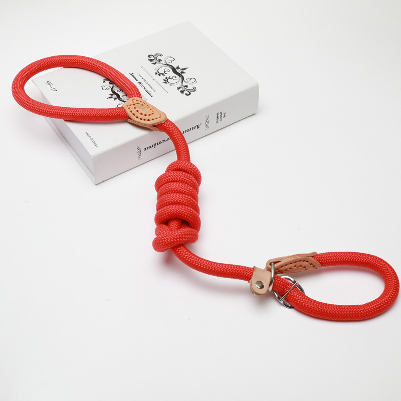 Slip Lead Leash