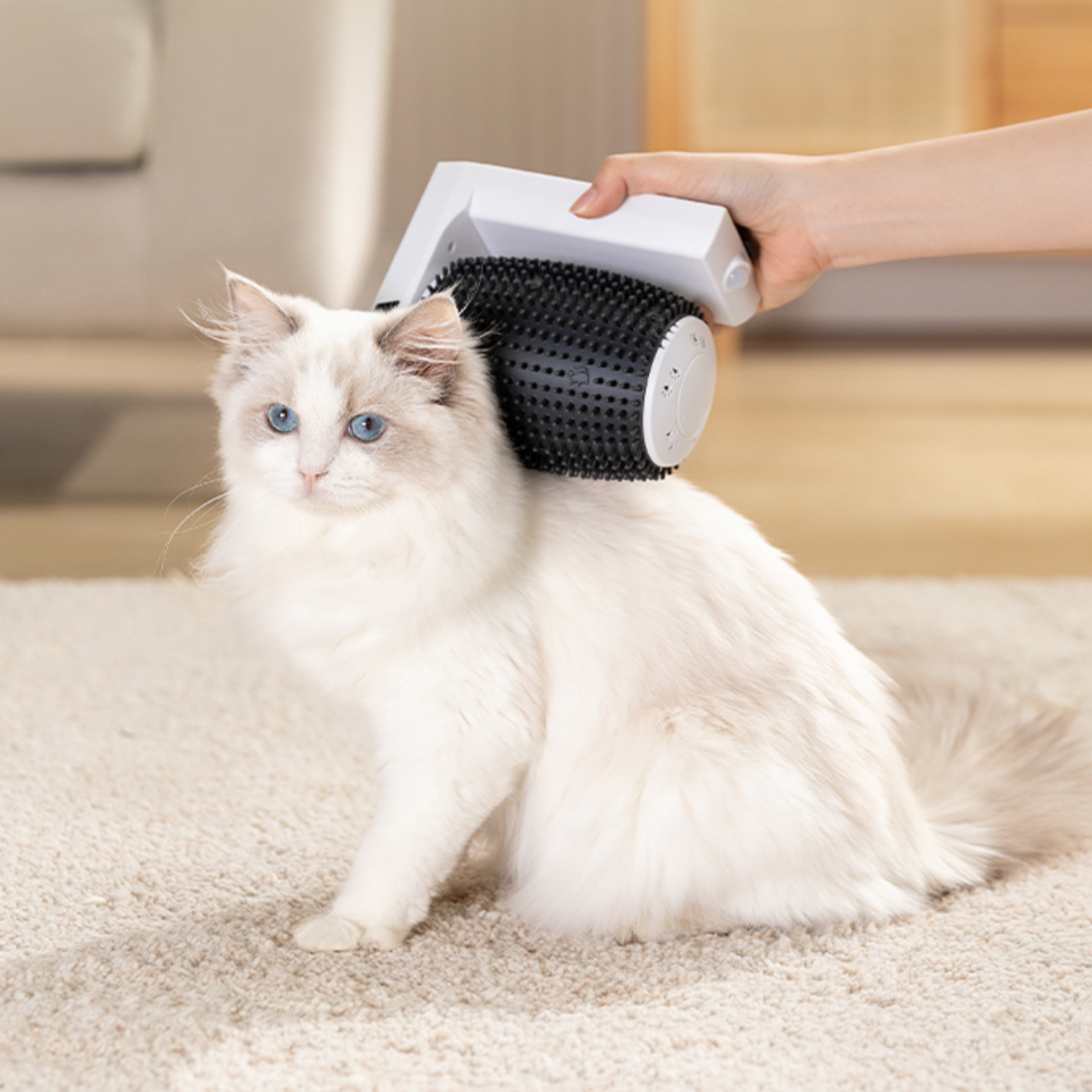 RestyCat Groomer