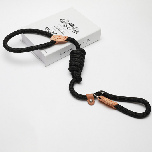 Slip Lead Leash